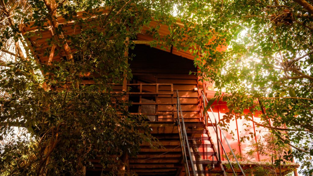 Panorama di Sigiriya, Sri Lanka
