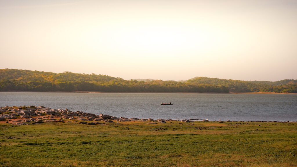 Safari Sigiriya