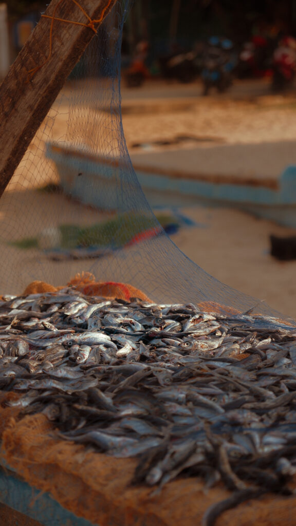Trincomalee