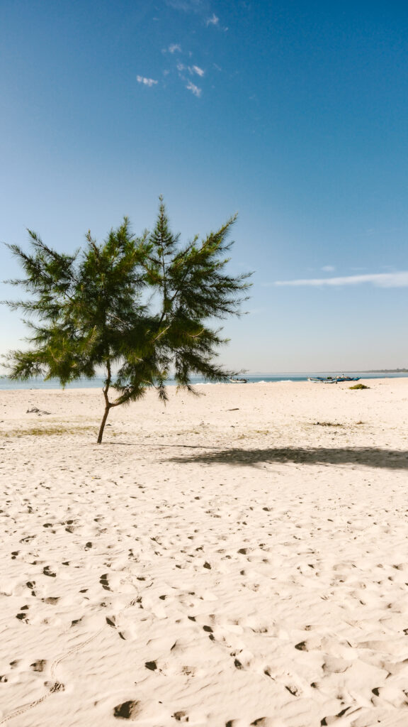 Kalkudah e Pasikuda: guida alla costa est dello Sri Lanka