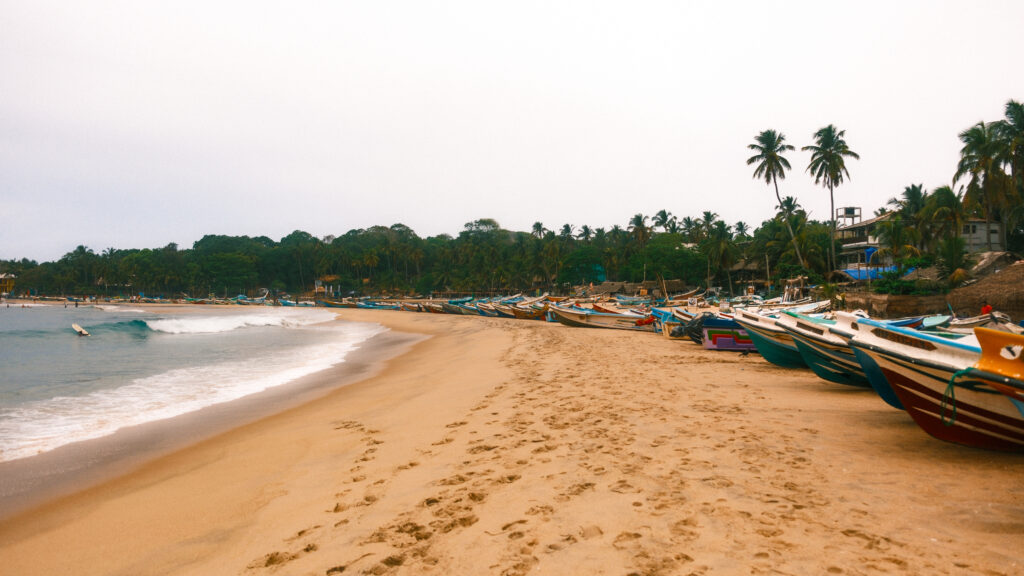 Arugam Bay: guida completa alla capitale del surf dello Sri Lanka