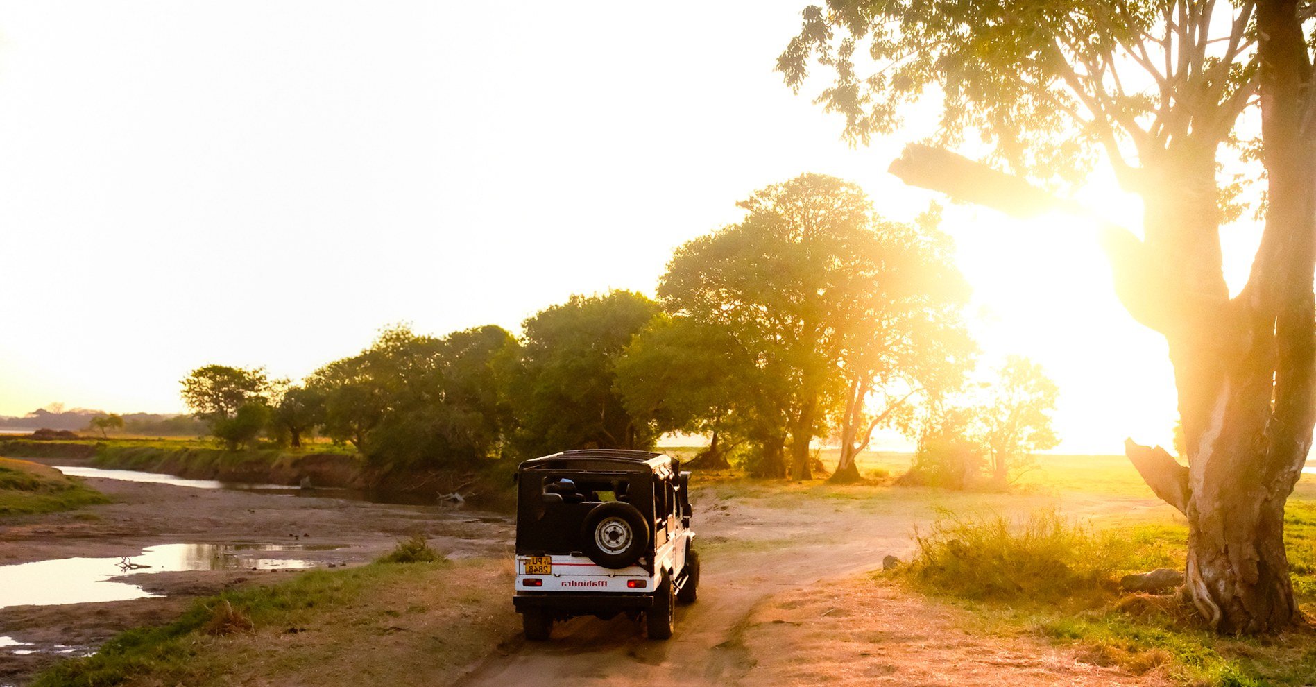 In viaggio — safari in jeep verso il tramonto, Sri Lanka